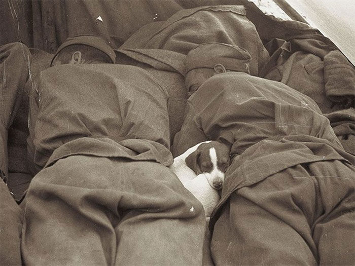 fotografias antiguas conmovedoras 11