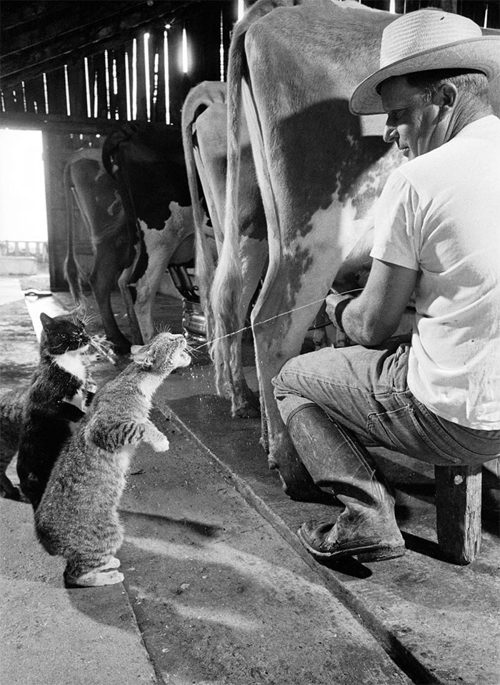 fotografias antiguas conmovedoras 7