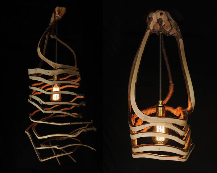 Gavin Munro muebles plantas 10
