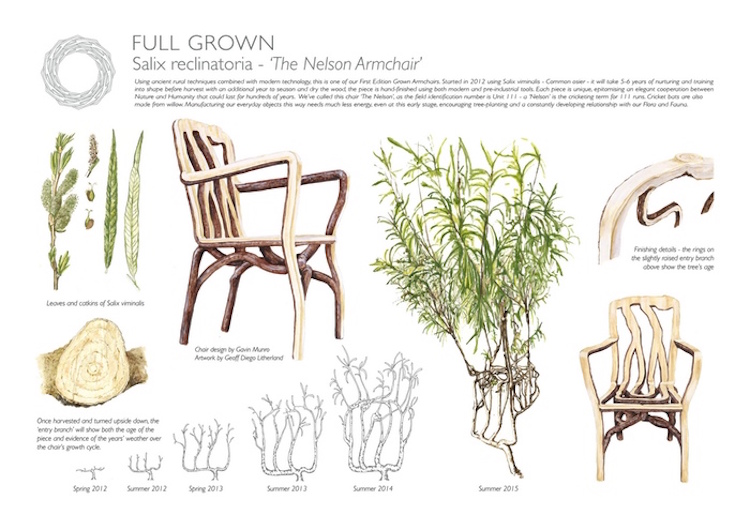 Gavin Munro muebles plantas 11