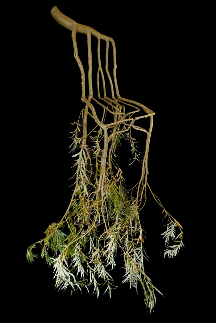 Gavin Munro muebles plantas 2