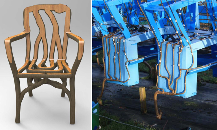 Gavin Munro muebles plantas 6