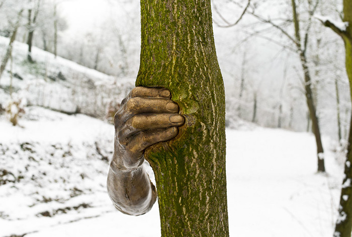 Giuseppe Penone escultura mano arbol
