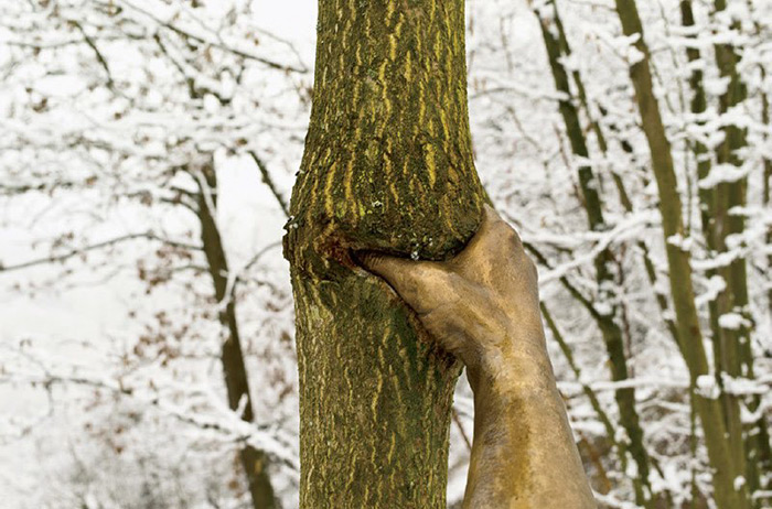 Giuseppe Penone escultura mano arbol 3