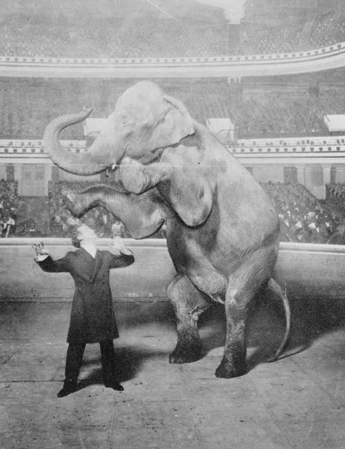 Houdini y Jennie la elefanta actuando en el Hippodrome de Nueva York Library of Congress