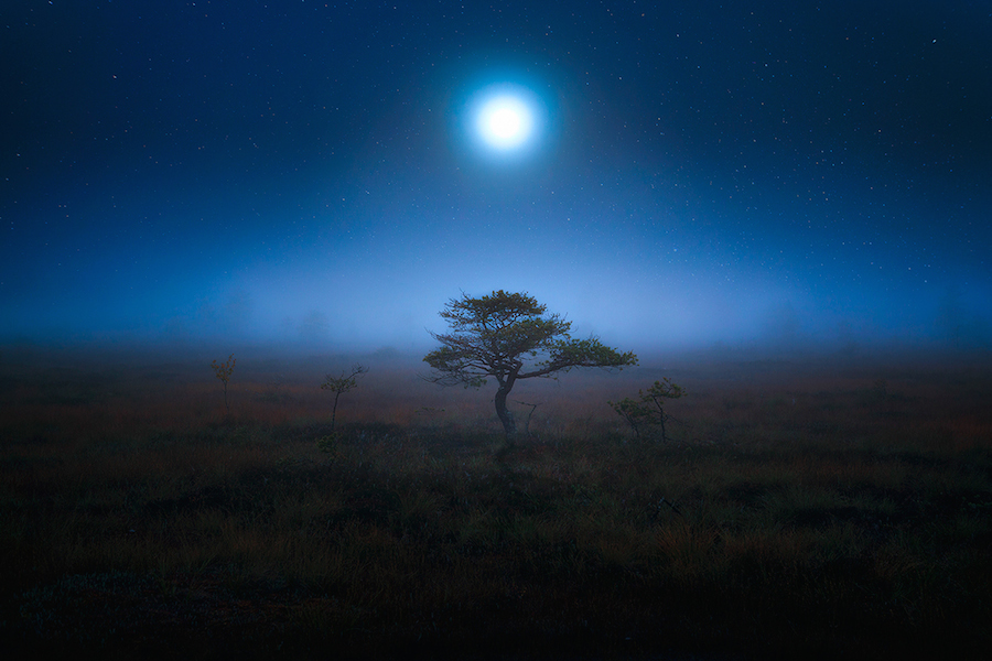 Incredible MOON culturainquieta3