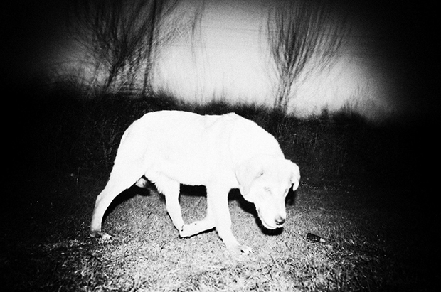Stavros Stamatiou fotografia artistica 11