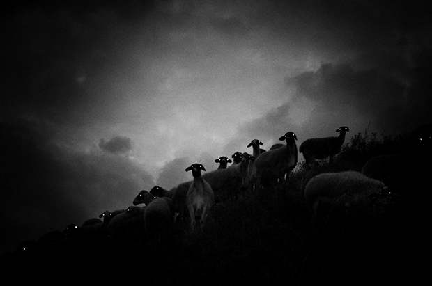 Stavros Stamatiou fotografia artistica 2