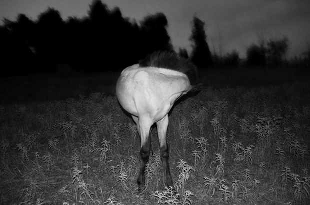 Stavros Stamatiou fotografia artistica 4