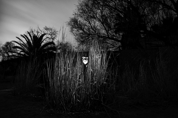 Stavros Stamatiou fotografia artistica 5