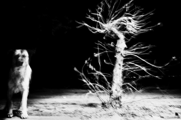 Stavros Stamatiou fotografia artistica 6