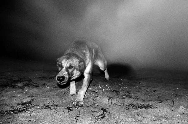 Stavros Stamatiou fotografia artistica 8