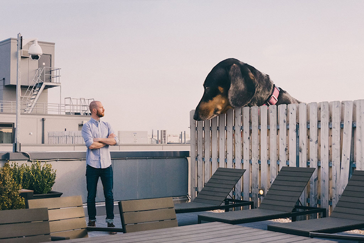 Vivian the Dog Moves to Brooklyn 5
