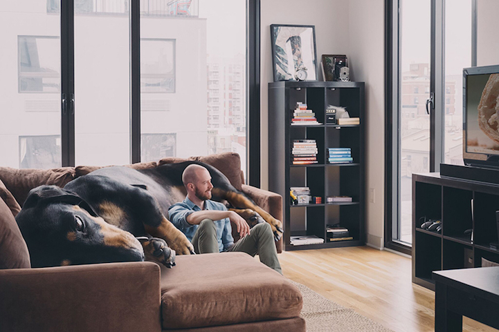 Vivian the Dog Moves to Brooklyn 6