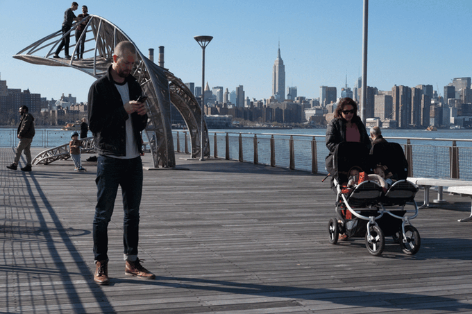 Vivian the Dog Moves to Brooklyn 8