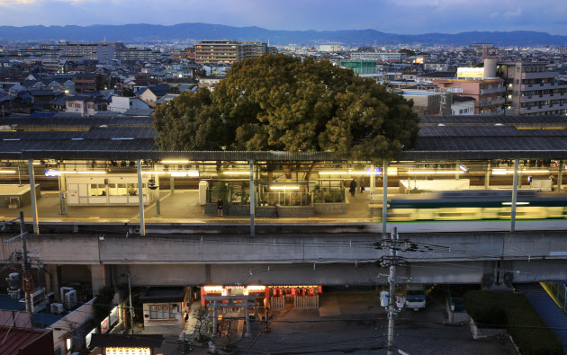 arbol japon estacion Kayashima tren