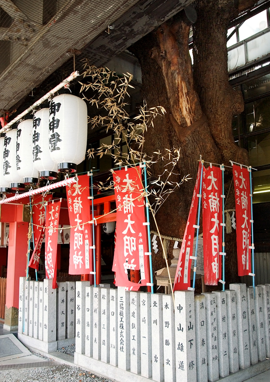 arbol japon estacion Kayashima tren 4