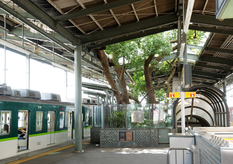 arbol japon estacion Kayashima tren 5