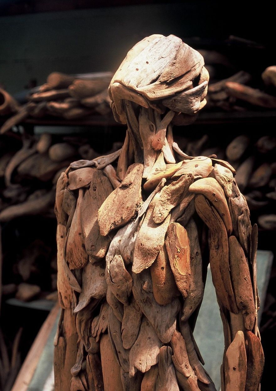 madera culturainquieta1