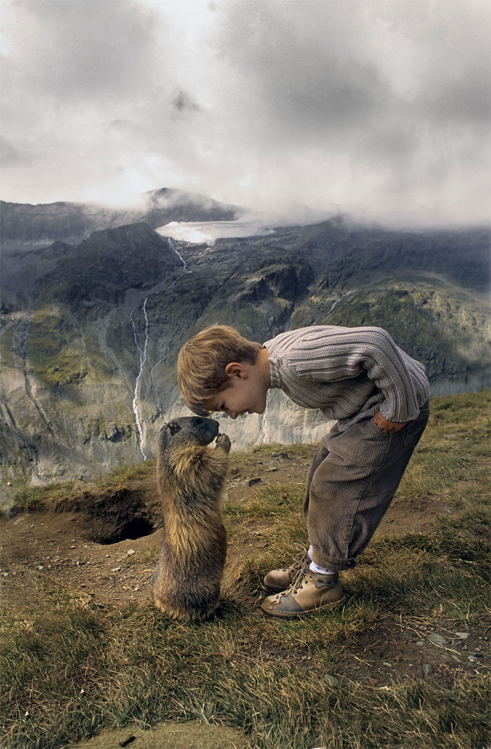 nino con marmotas