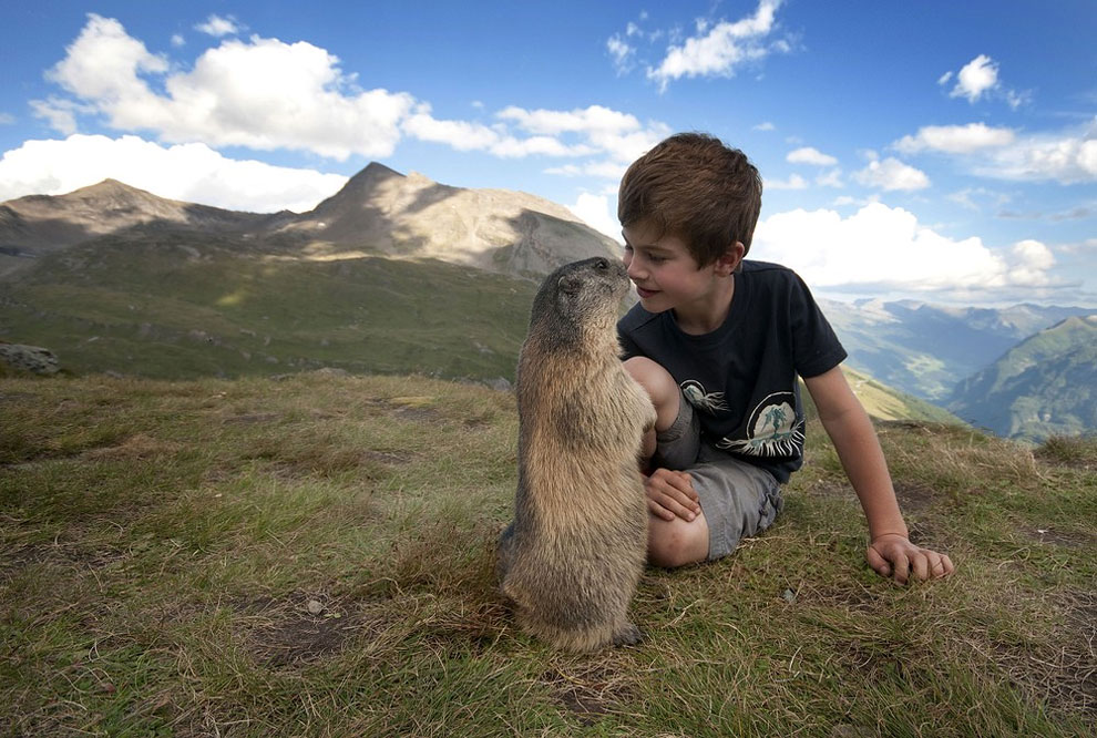 nino con marmotas 3