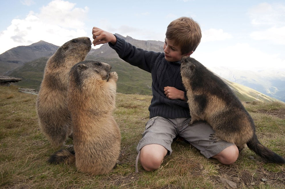 nino con marmotas 4