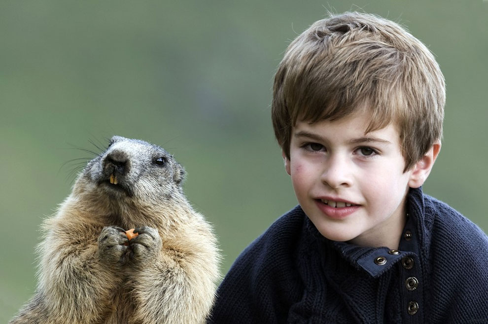 nino con marmotas 5