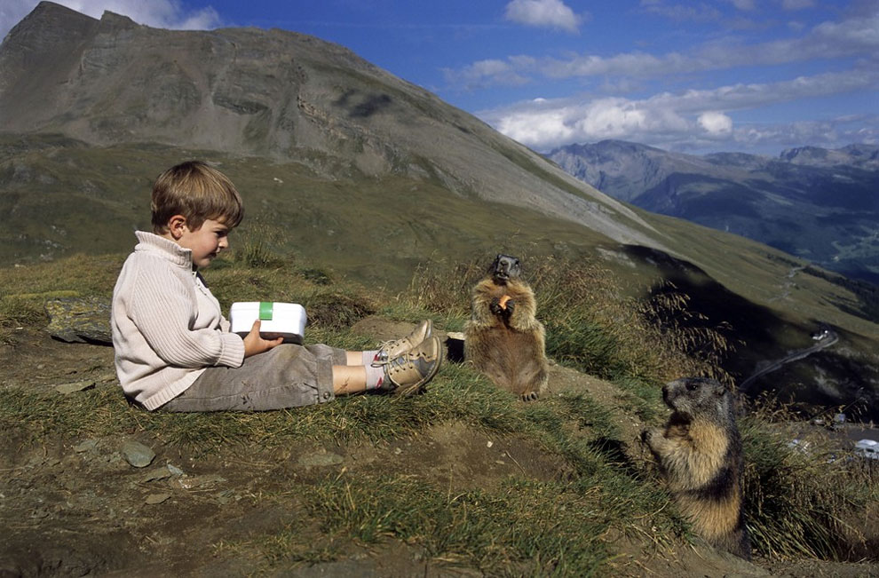 nino con marmotas 6