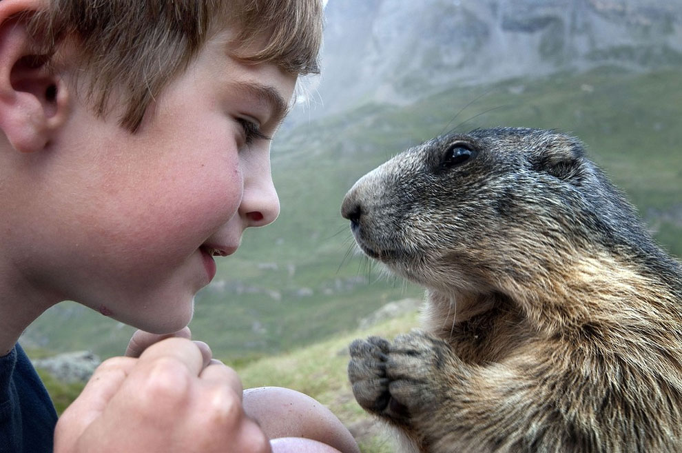 nino con marmotas 8
