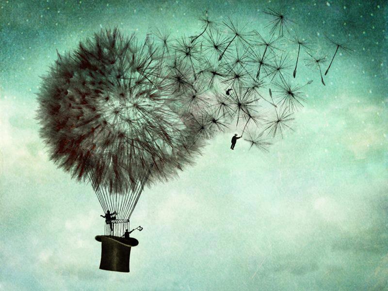 Catrin Welz Stein