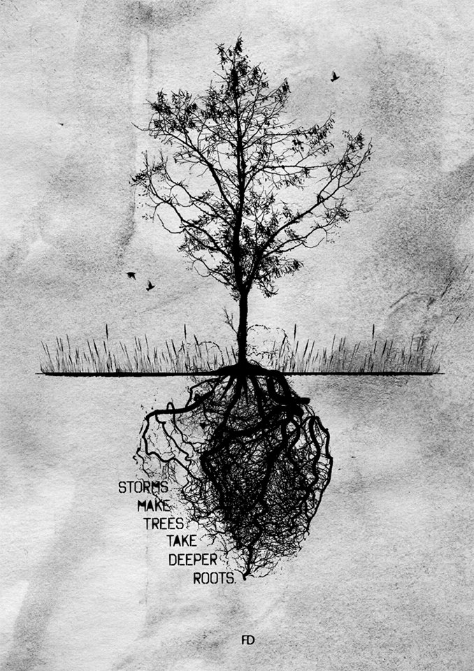 Faried Omarah estimulantes frases ilustraciones
