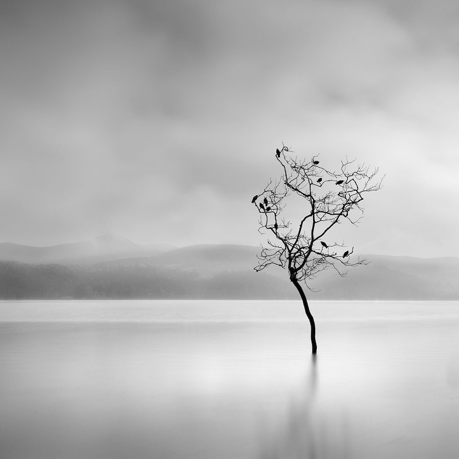 George Digalakis paisajes minimalistas 2