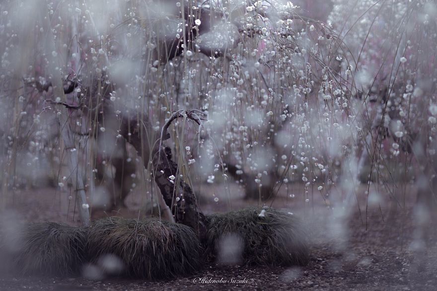 Hidenobu Suzuki Japan photographer 10
