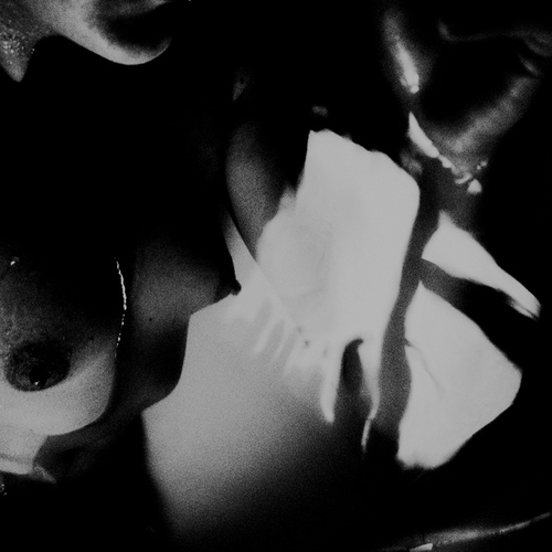 Jone Reed fotografía artística