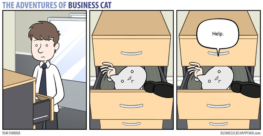 Las aventuras de un gato de negocios 10