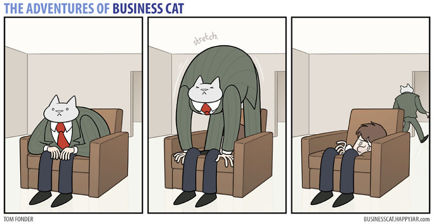 Las aventuras de un gato de negocios 11