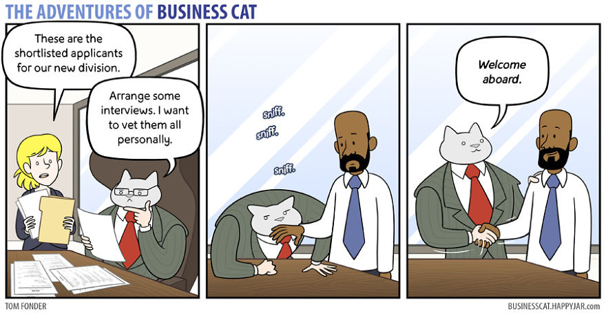 Las aventuras de un gato de negocios 20