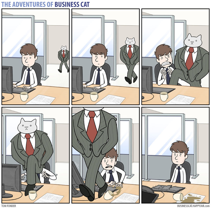 Las aventuras de un gato de negocios 3