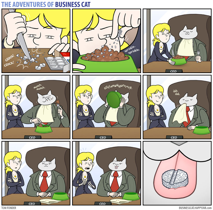 Las aventuras de un gato de negocios 4