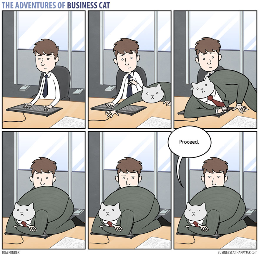 Las aventuras de un gato de negocios 7