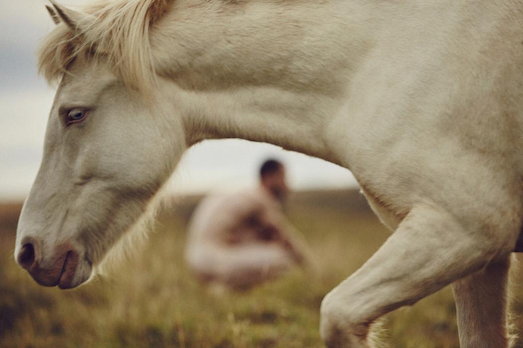 Nick Turner caballos Islandia desnudo 4