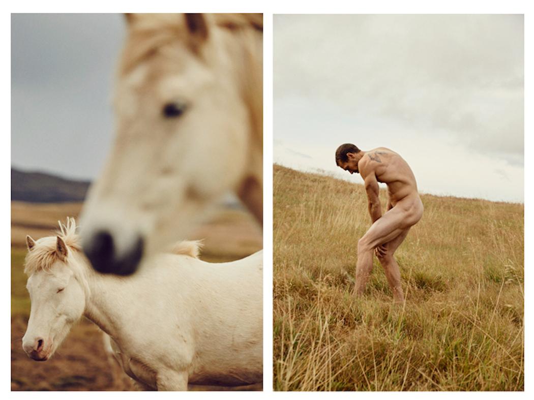 Nick Turner caballos Islandia desnudo 6