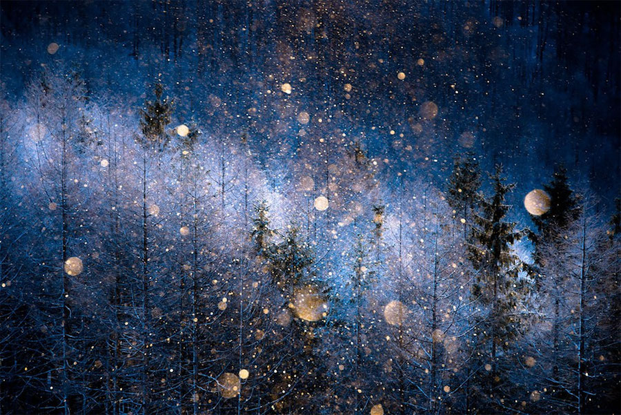 Premios Sony World Photography 2017