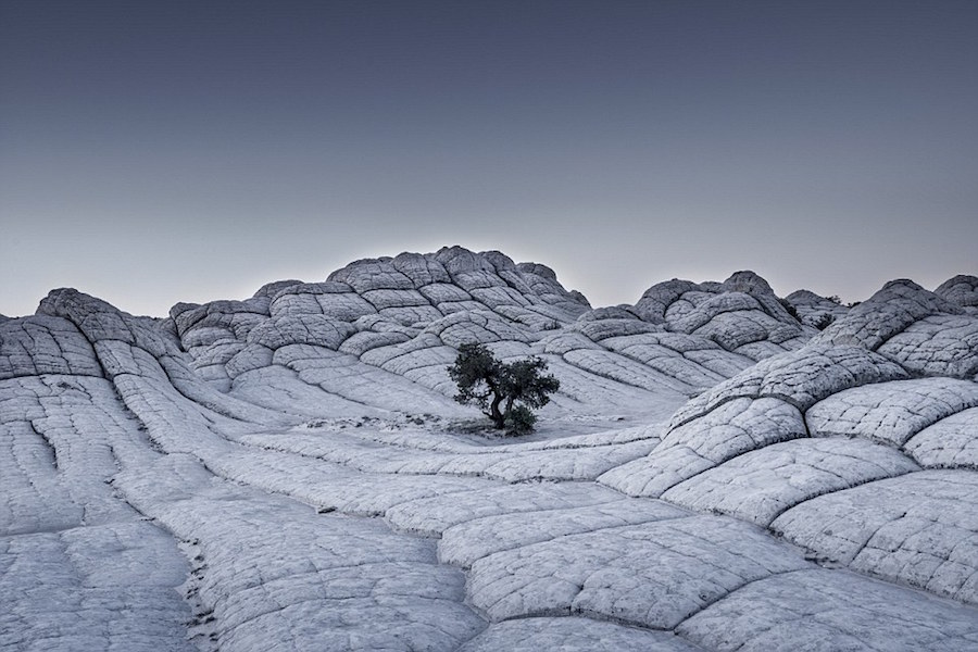 Premios Sony World Photography 2017 14