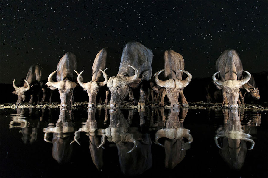 Premios Sony World Photography 2017 2