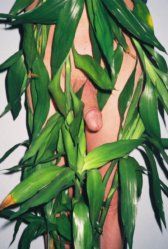 Fotografías de Ren Hang