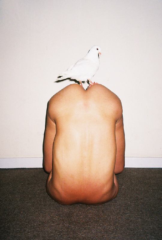 Fotografías de Ren Hang