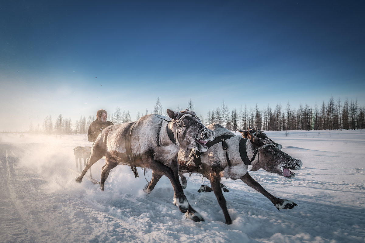 Travel Credit Kamil Nureev 5