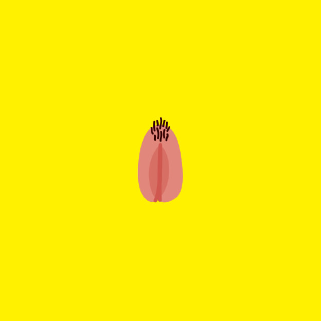 flirtmoji culturaiquieta13