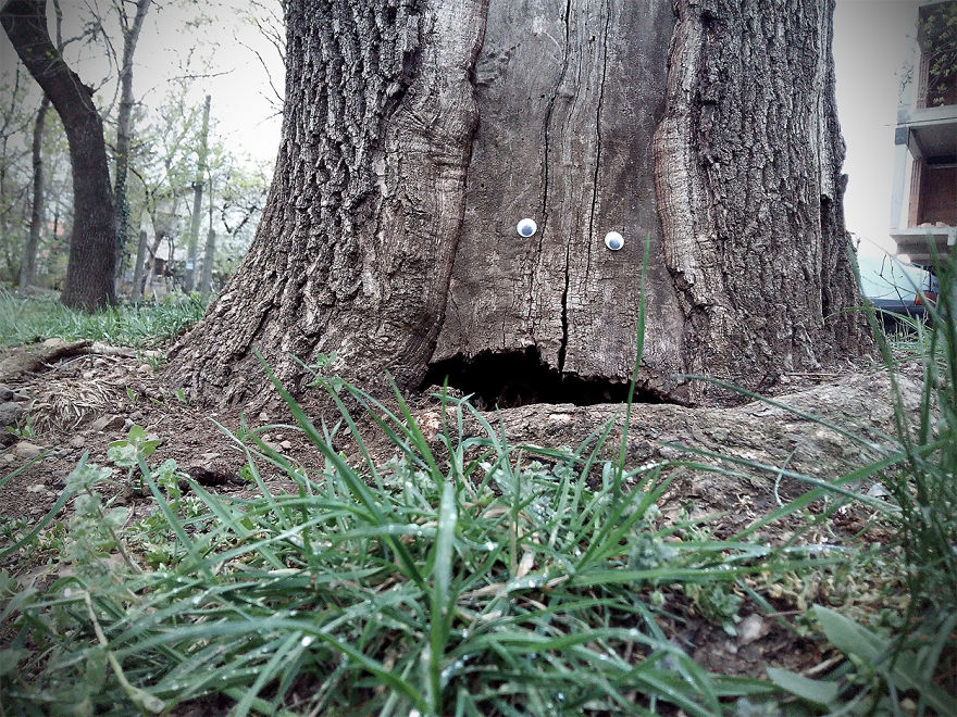 googly eyebombing culturainquieta114